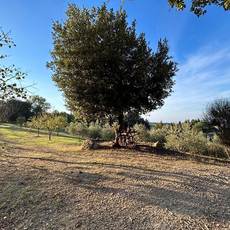 Casale Di Valle Mora San Gimignano Ngoại thất bức ảnh